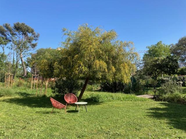 Appartement Un Jardin Dans La La Ciotat