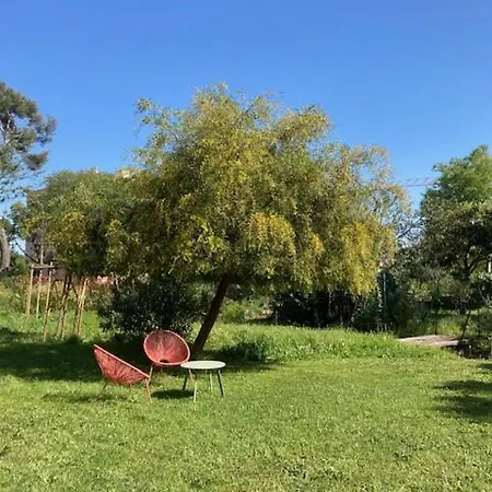 Un Jardin Dans La Ville La Ciotat Exterior photo